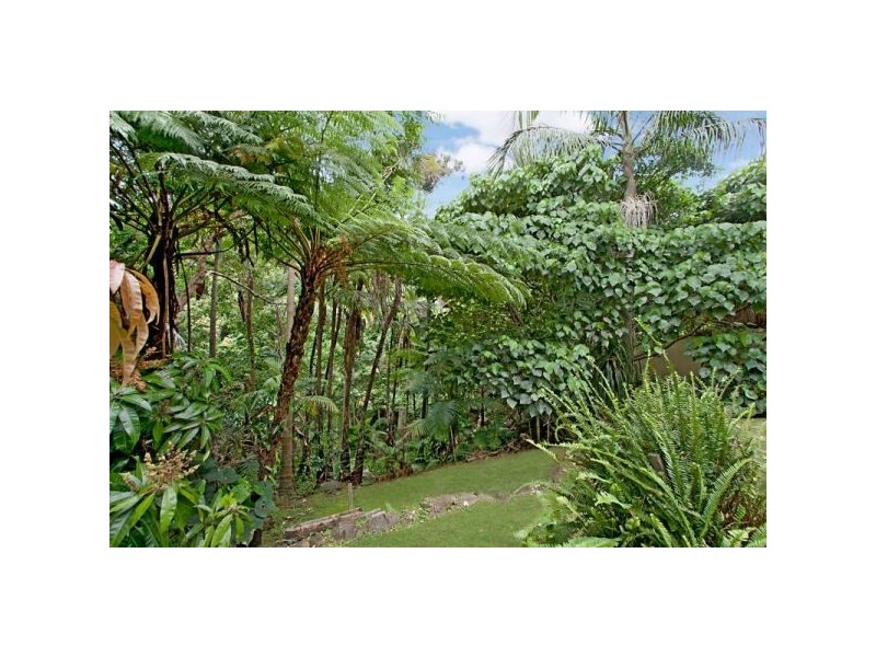 45 Shamrock Avenue, Banora Point NSW 2486