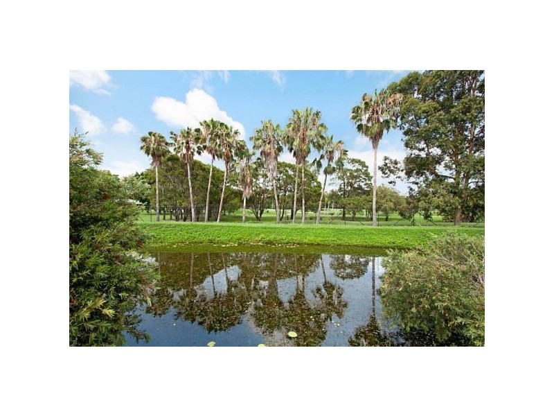 169 Darlington Drive, Banora Point NSW 2486
