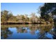 267 Beltana Drive, Bilambil NSW 2486