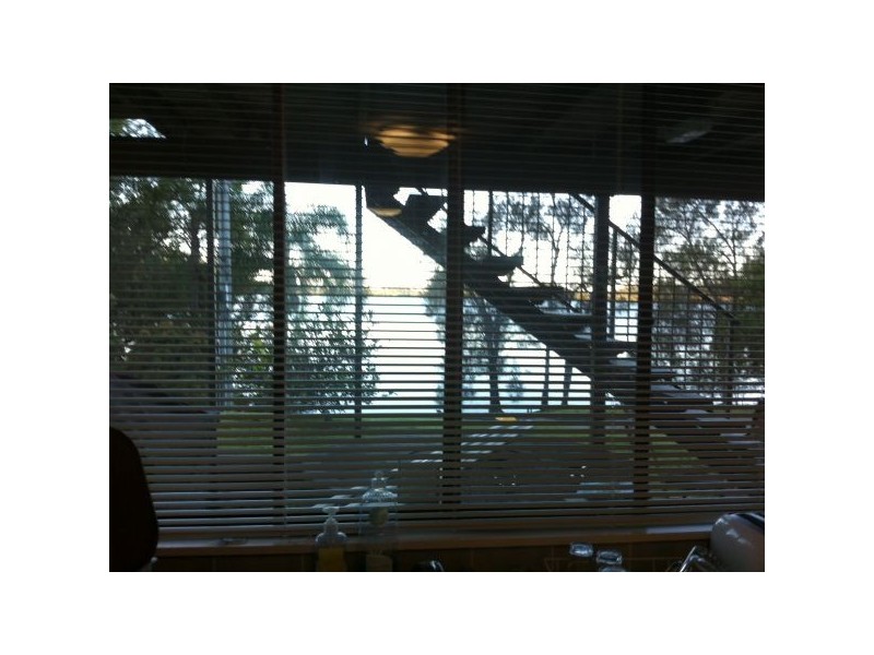 110 Broadwater Esp, Bilambil Heights NSW 2486