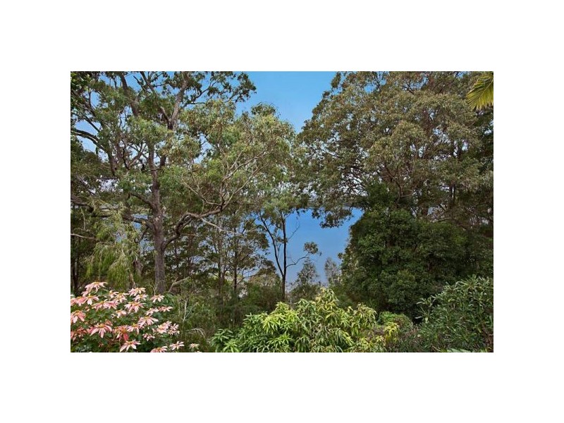 95 Peninsula Drive, Bilambil Heights NSW 2486