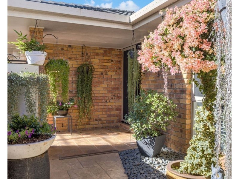3 Kintyre Crescent, Banora Point NSW 2486