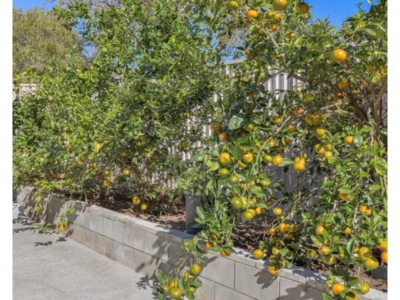 3 Kintyre Crescent, Banora Point NSW 2486