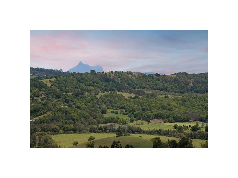 4 Vail Court, Bilambil Heights NSW 2486