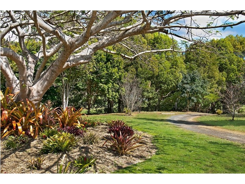 367 Cobaki Road, Cobaki NSW 2486