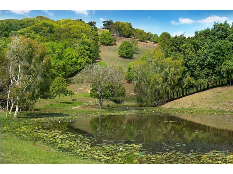 367 Cobaki Road, Cobaki NSW 2486