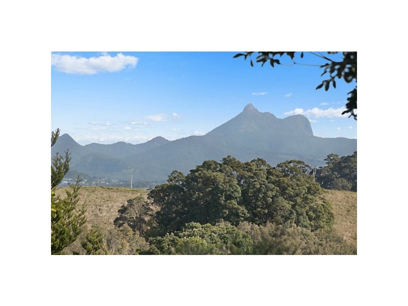 1130 Terranora Road, Tumbulgum NSW 2490