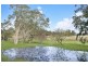 1130 Terranora Road, Tumbulgum NSW 2490