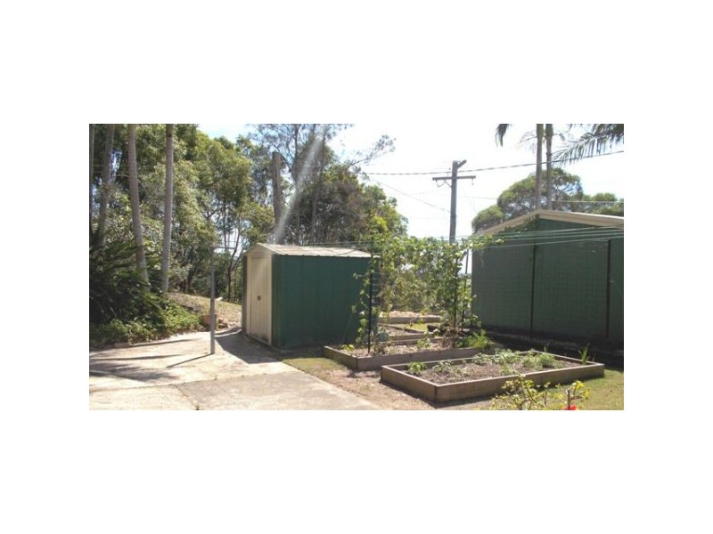 1130 Terranora Road, Tumbulgum NSW 2490