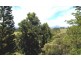 1130 Terranora Road, Tumbulgum NSW 2490