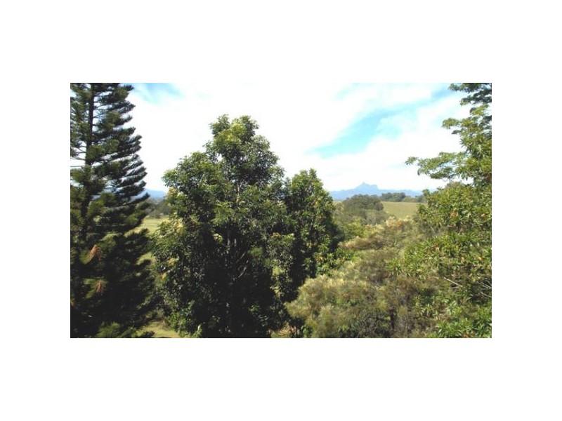 1130 Terranora Road, Tumbulgum NSW 2490