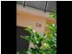 50 Corea Street, Sylvania NSW 2224