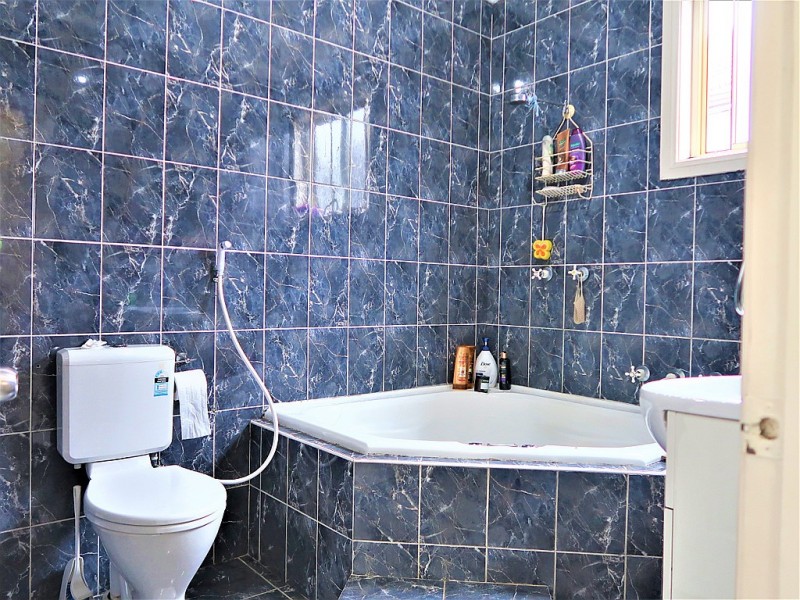 13 Warwick St, Punchbowl NSW 2196