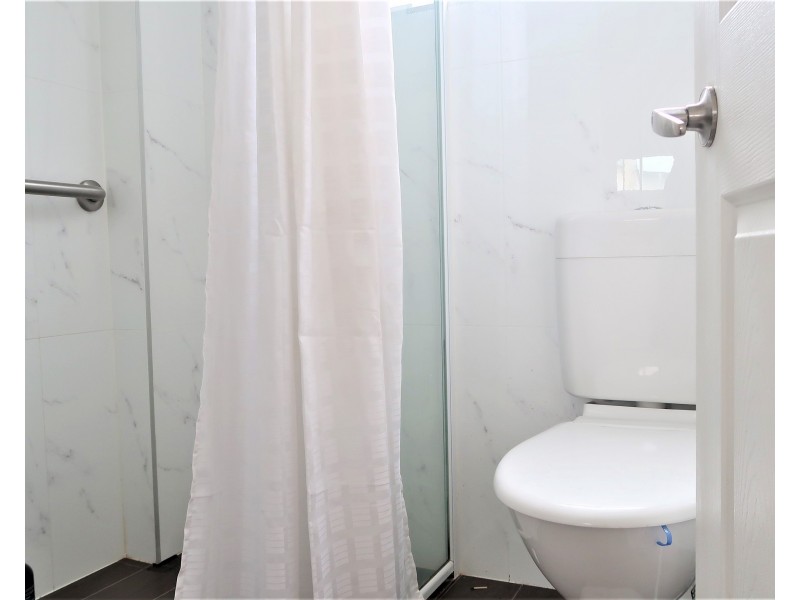 138a MIMOSA ROAD, Greenacre NSW 2190