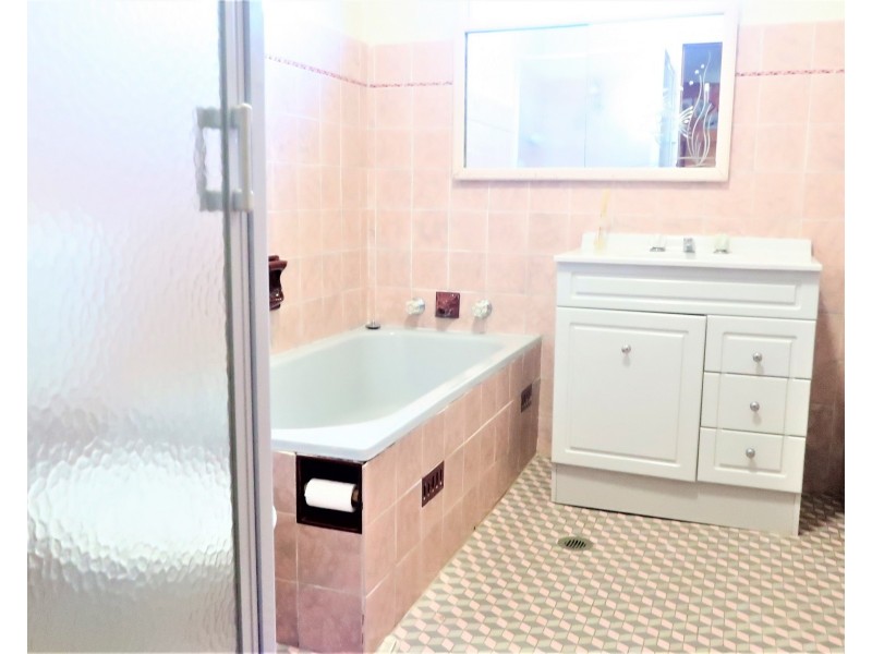 173 Mimosa rd, Greenacre NSW 2190