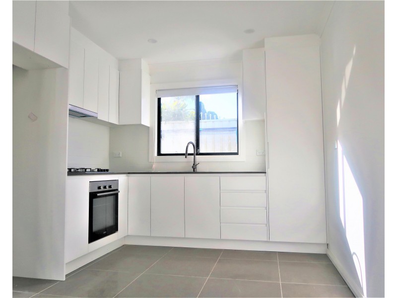 7B VIOLA ST, Punchbowl NSW 2196