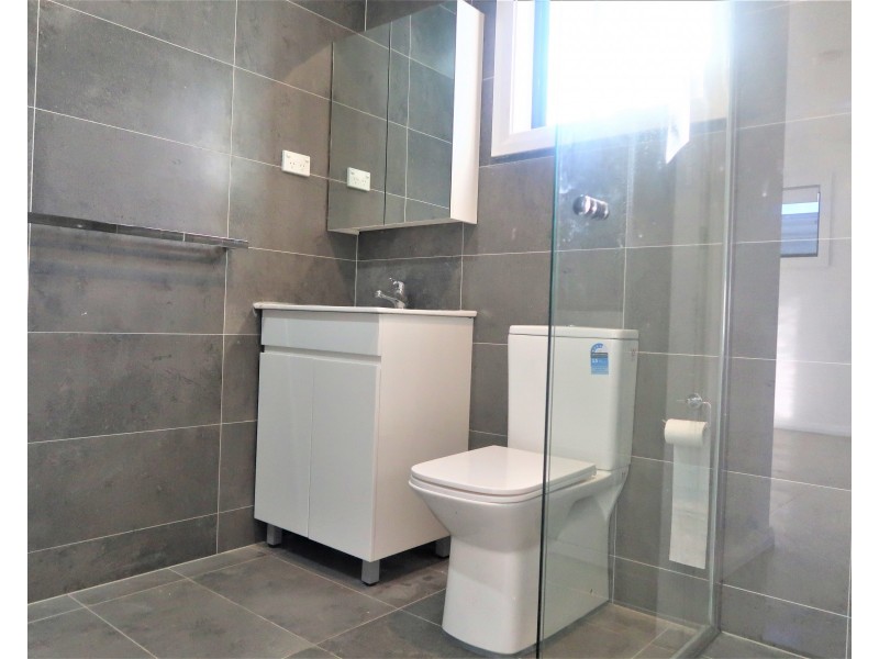 7B VIOLA ST, Punchbowl NSW 2196