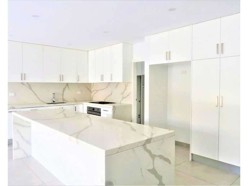 41 Hebe St, Greenacre NSW 2190