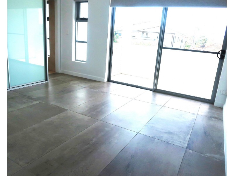 162A WILBUR ST, Greenacre NSW 2190