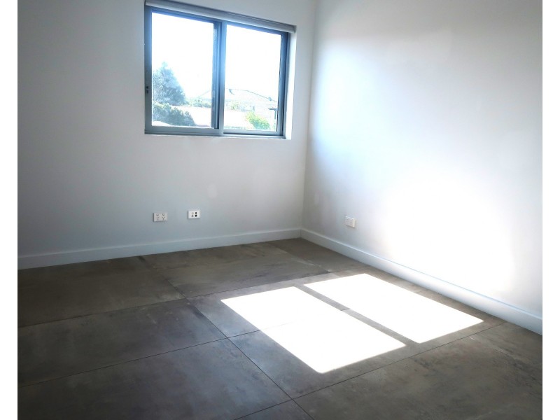 162A WILBUR ST, Greenacre NSW 2190