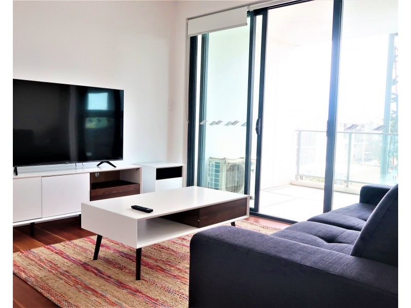 403/241 Sydney Park Rd, Erskineville NSW 2043