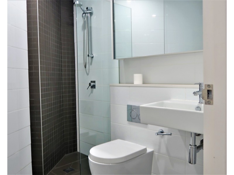 403/241 Sydney Park Rd, Erskineville NSW 2043