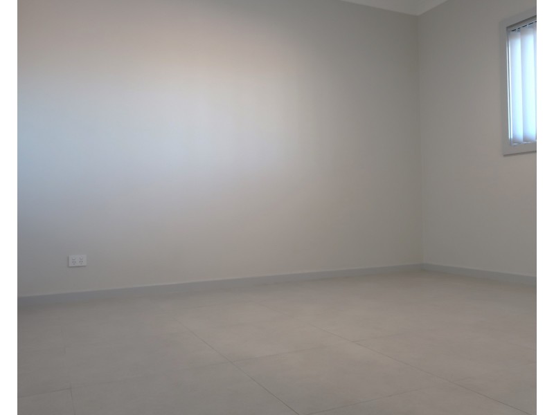 163b Tower st, Panania NSW 2213