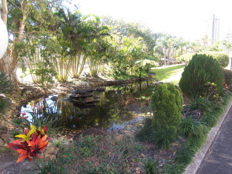 Paradise Waters QLD 4217