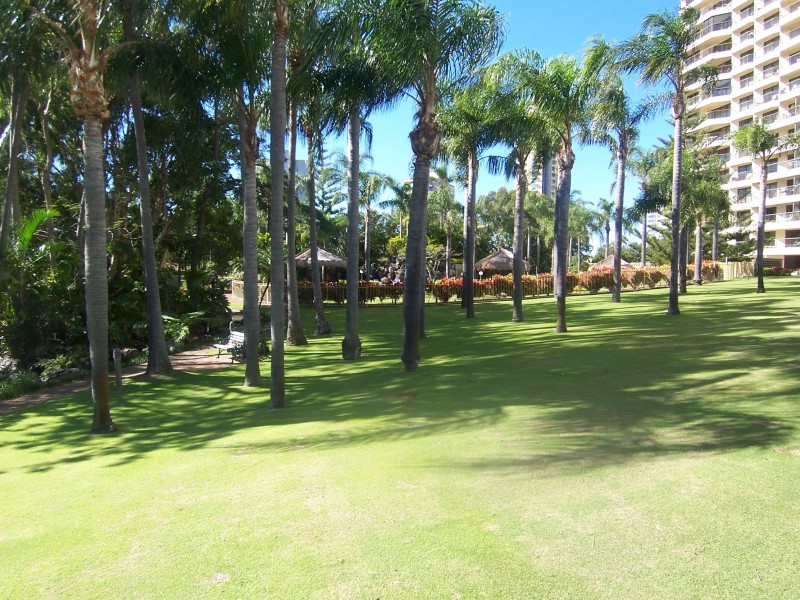 Paradise Waters QLD 4217