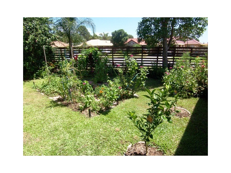 16 Matisse Court, Coombabah QLD 4216