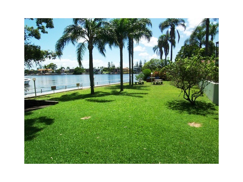 40/37 Monaco Street, Surfers Paradise QLD 4217