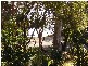 Craignish QLD 4655