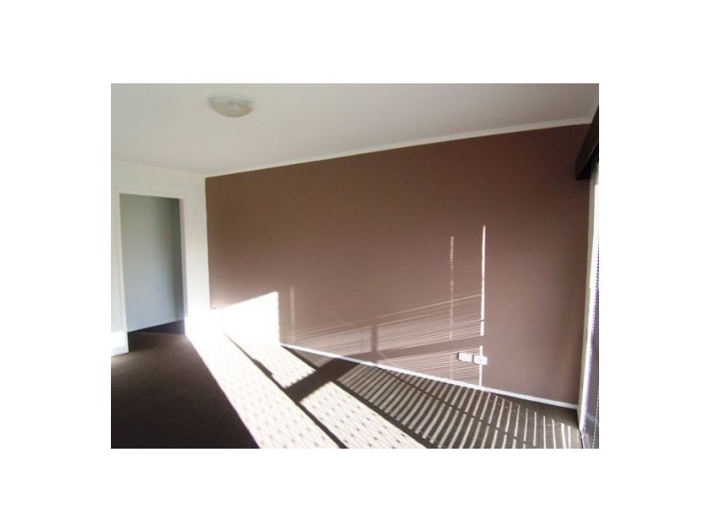 6 Sungold Ave, Southport QLD 4215