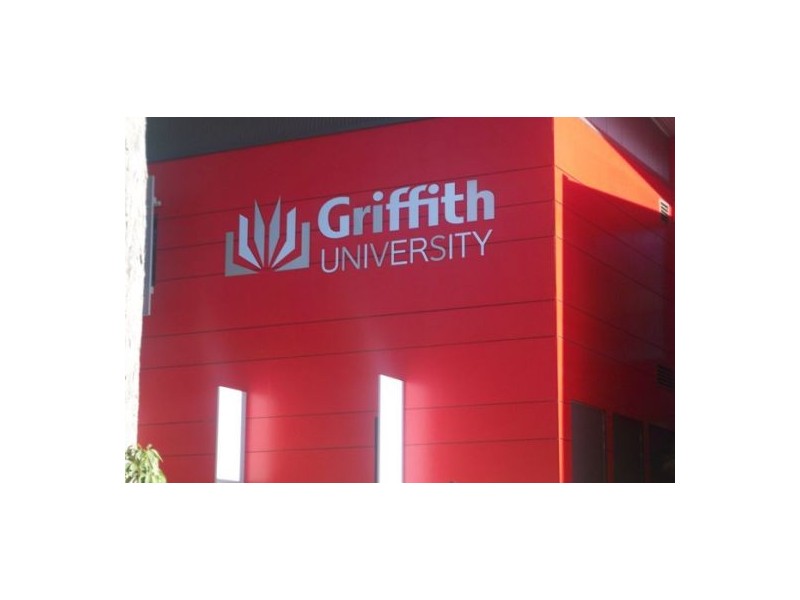 6 Sungold Ave, Southport QLD 4215