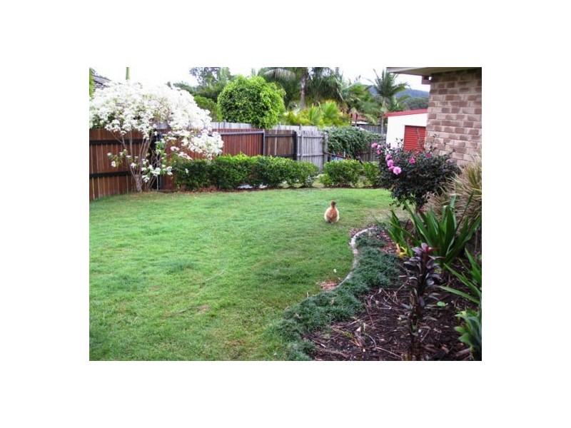 11 Carine Court, Nerang QLD 4211