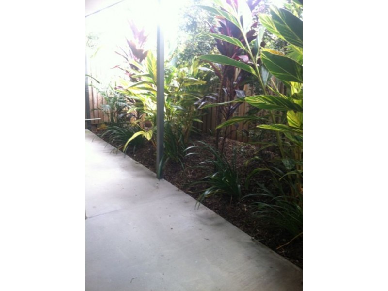 14/446 Pine Ridge Road, Coombabah QLD 4216