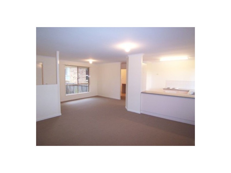 1 Forestwood Court, Nerang QLD 4211