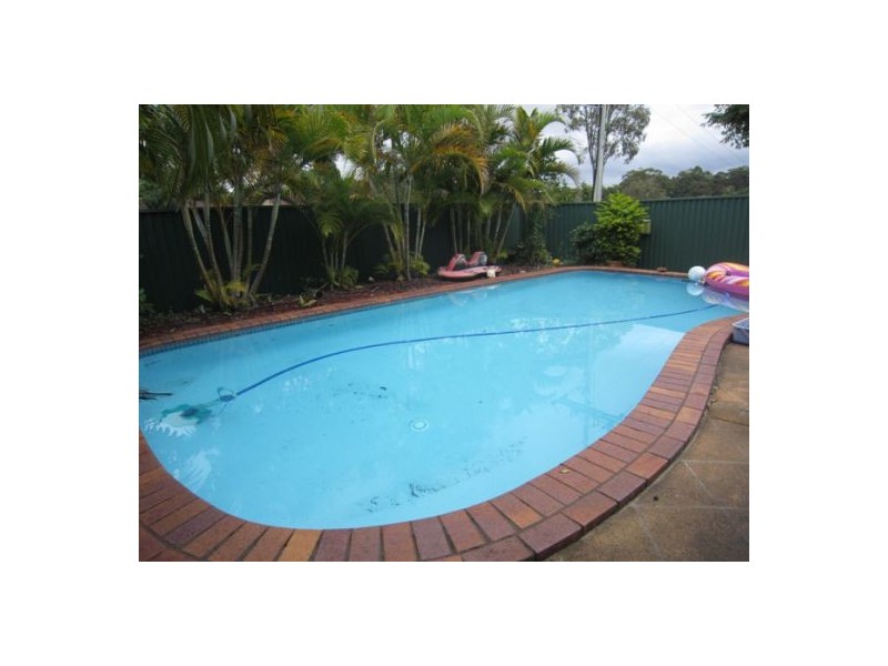 169 Cotlew Street, Ashmore QLD 4214