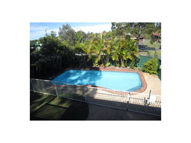 169 Cotlew Street, Ashmore QLD 4214