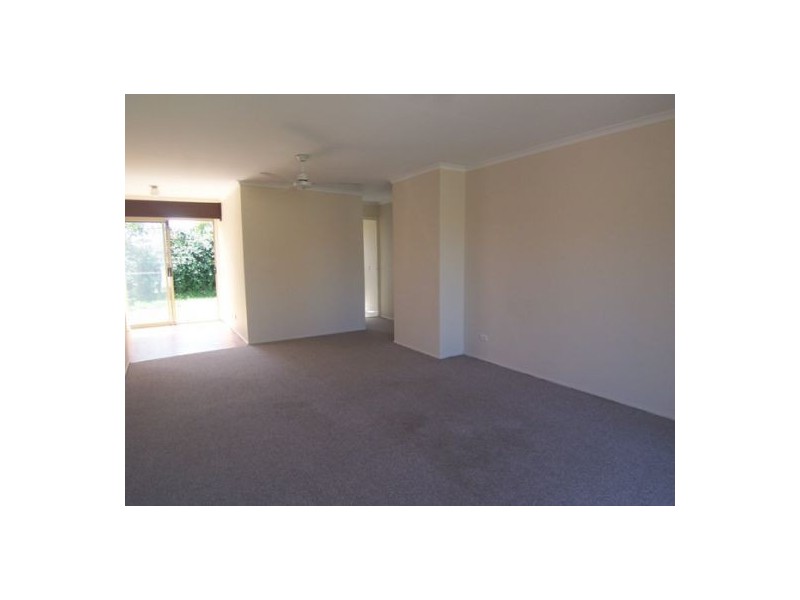 1/98 Kangaroo Av, Coombabah QLD 4216