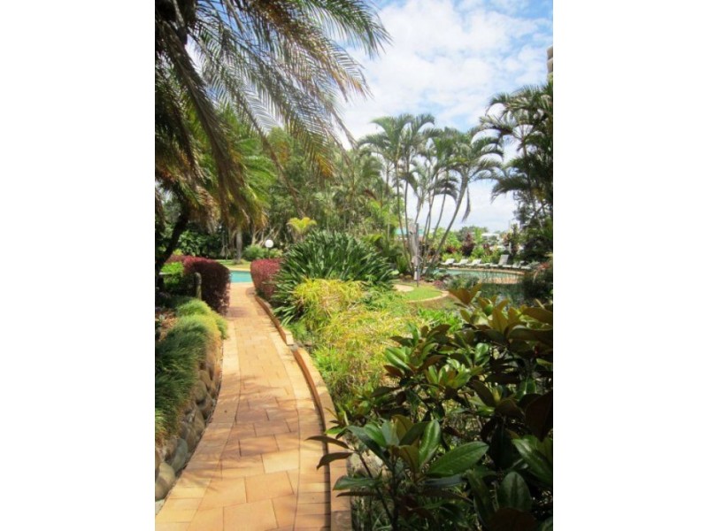31/2 Admiralty Drive, Surfers Paradise QLD 4217