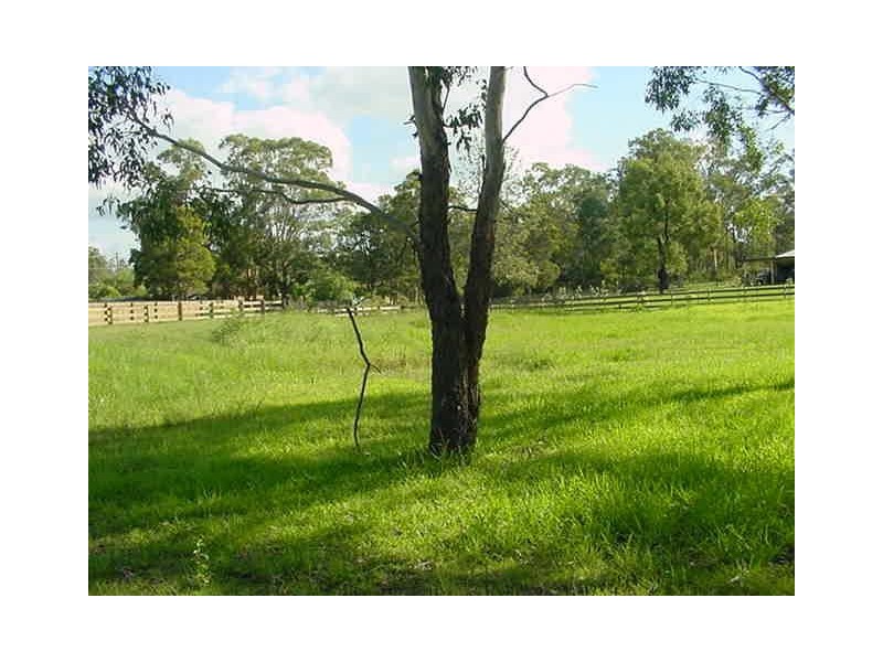 13 Branxton Street, Nulkaba NSW 2325