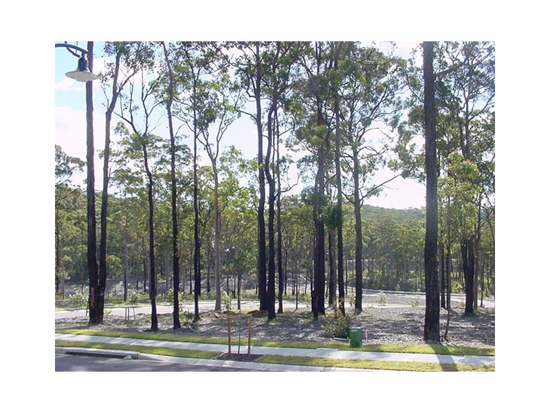 16 Clarkstone Avenue, Cameron Park NSW 2285