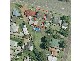 762 Main Road, Edgeworth NSW 2285