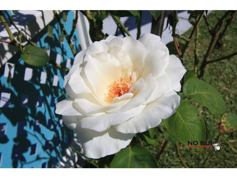 58  Warners Bay Road, Warners Bay NSW 2282