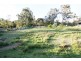 61 Seaham Street, Holmesville NSW 2286