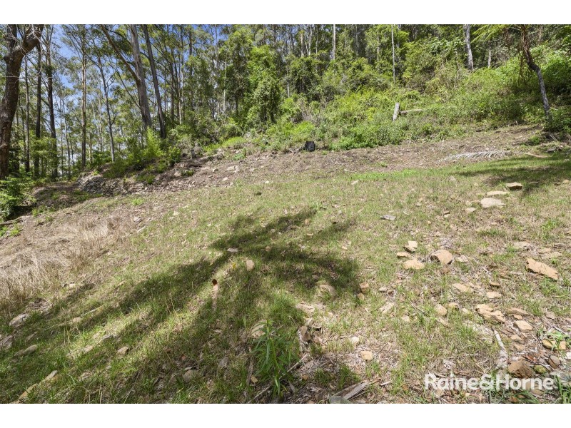 90 Cedarvale Road, Boambee NSW 2450