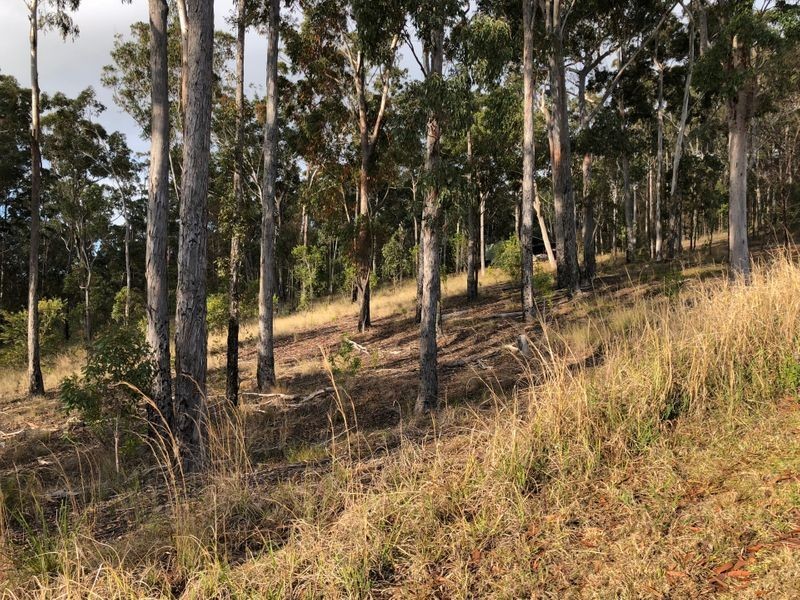 45 Nottingham Drive, Glenreagh NSW 2450