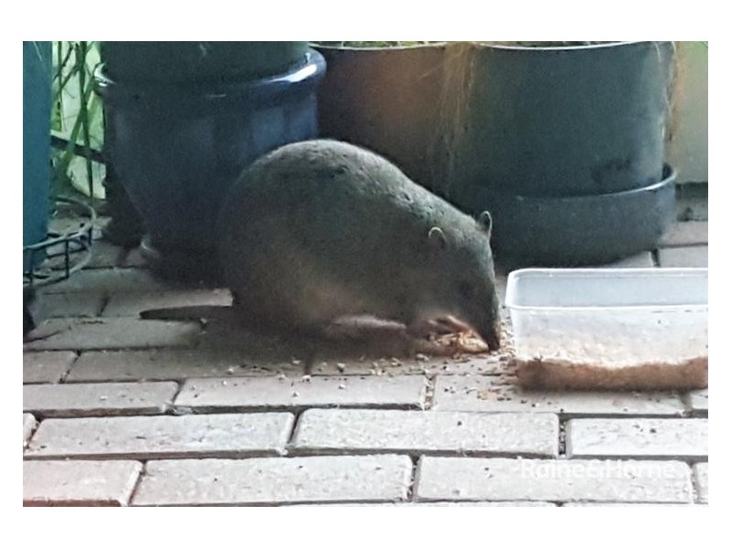 203-245 Moleton Road, Lowanna NSW 2450