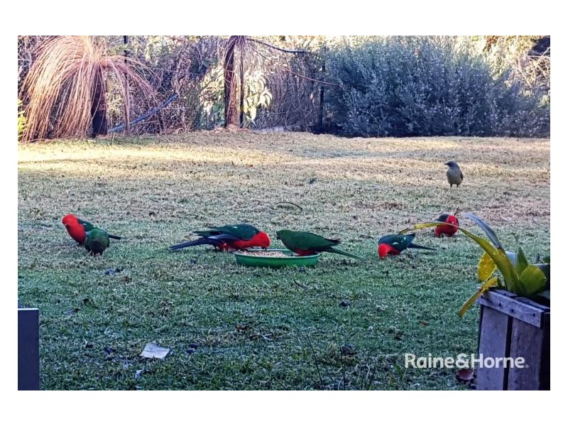 203-245 Moleton Road, Lowanna NSW 2450